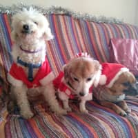 Foto del cuidador: Helena R.