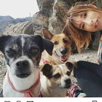 Foto del cuidador: Verónica O.