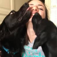 Immagine del profilo del sitter: Caterina D.