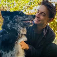 Immagine del profilo del sitter: Andrea V.