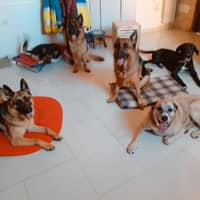 Immagine del profilo del sitter: Stefania D.