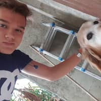 Immagine del profilo del sitter: Matteo B.