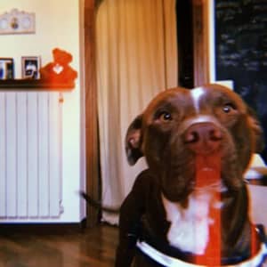 Luca R.