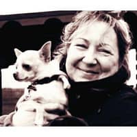 Immagine del profilo del sitter: Ivana C.