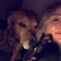 Passarens profilbild: Victoria L.