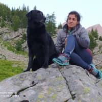 Photo de profil du pet sitter : Fiona E.