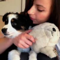 Photo de profil du pet sitter : Camille d.
