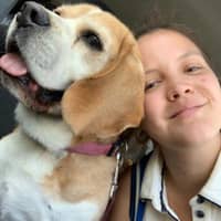 Photo de profil du pet sitter : Caroline D.