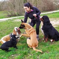 Photo de profil du pet sitter : Jill V.