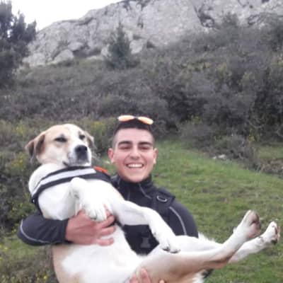Photo de profil du pet sitter : Konstantinos A.