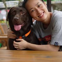 Photo de profil du pet sitter : Hui L.