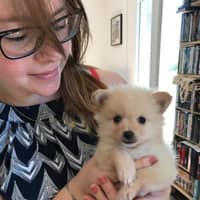 Photo de profil du pet sitter : Lana G.