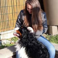 Photo de profil du pet sitter : Nolwenn A.