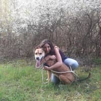 Photo de profil du pet sitter : Scilia o.