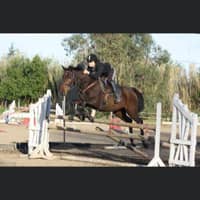 Photo de profil du pet sitter : Johana P.