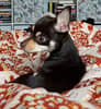 mediablock image