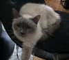 Photo de profil
