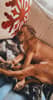 mediablock image