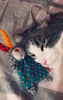 mediablock image