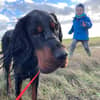Profilbild