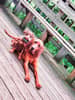 mediablock image