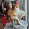 Photo de profil