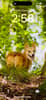 mediablock image