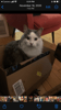 mediablock image