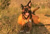mediablock image