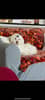 mediablock image