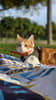 mediablock image