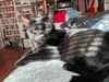 mediablock image
