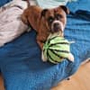 Profilbild