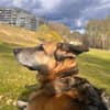 Profilbild