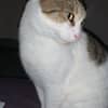 Photo de profil