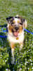 mediablock image