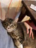 mediablock image