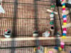 mediablock image
