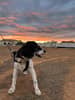 mediablock image