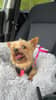 mediablock image