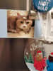 mediablock image