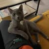 Photo de profil