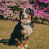mediablock image