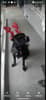 mediablock image