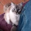 Photo de profil