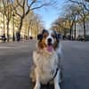 Photo de profil