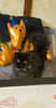 mediablock image