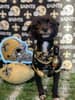 mediablock image