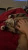 mediablock image