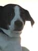 mediablock image